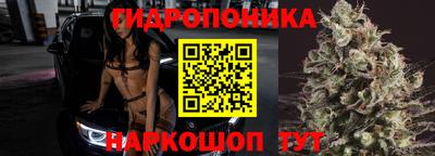 прущие крисы Жуковский