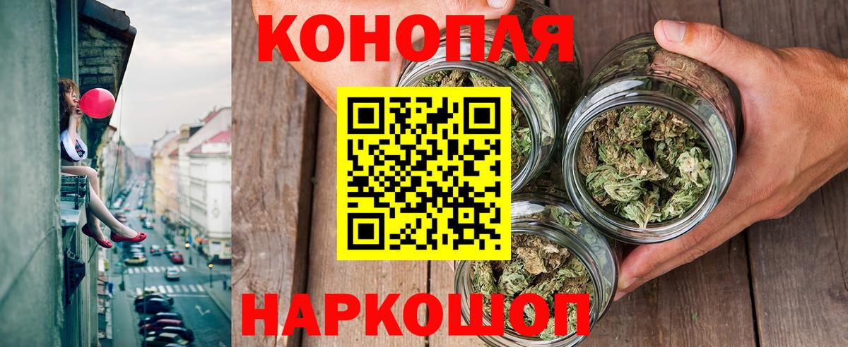 МАРИХУАНА сатива  Конопля гибрид  Чита  Конопля план  Вход с VPN 